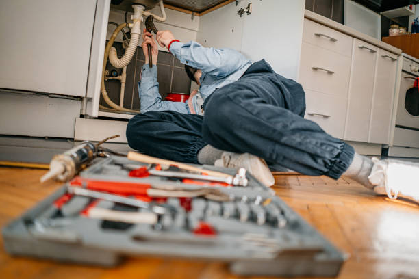 Best Affordable Plumbing Services  in Portage, MI