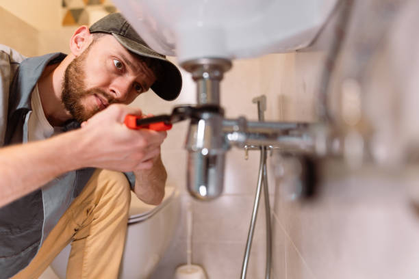 Best Septic Systems  in Portage, MI